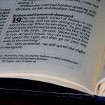 pexels-photo-33866275-1