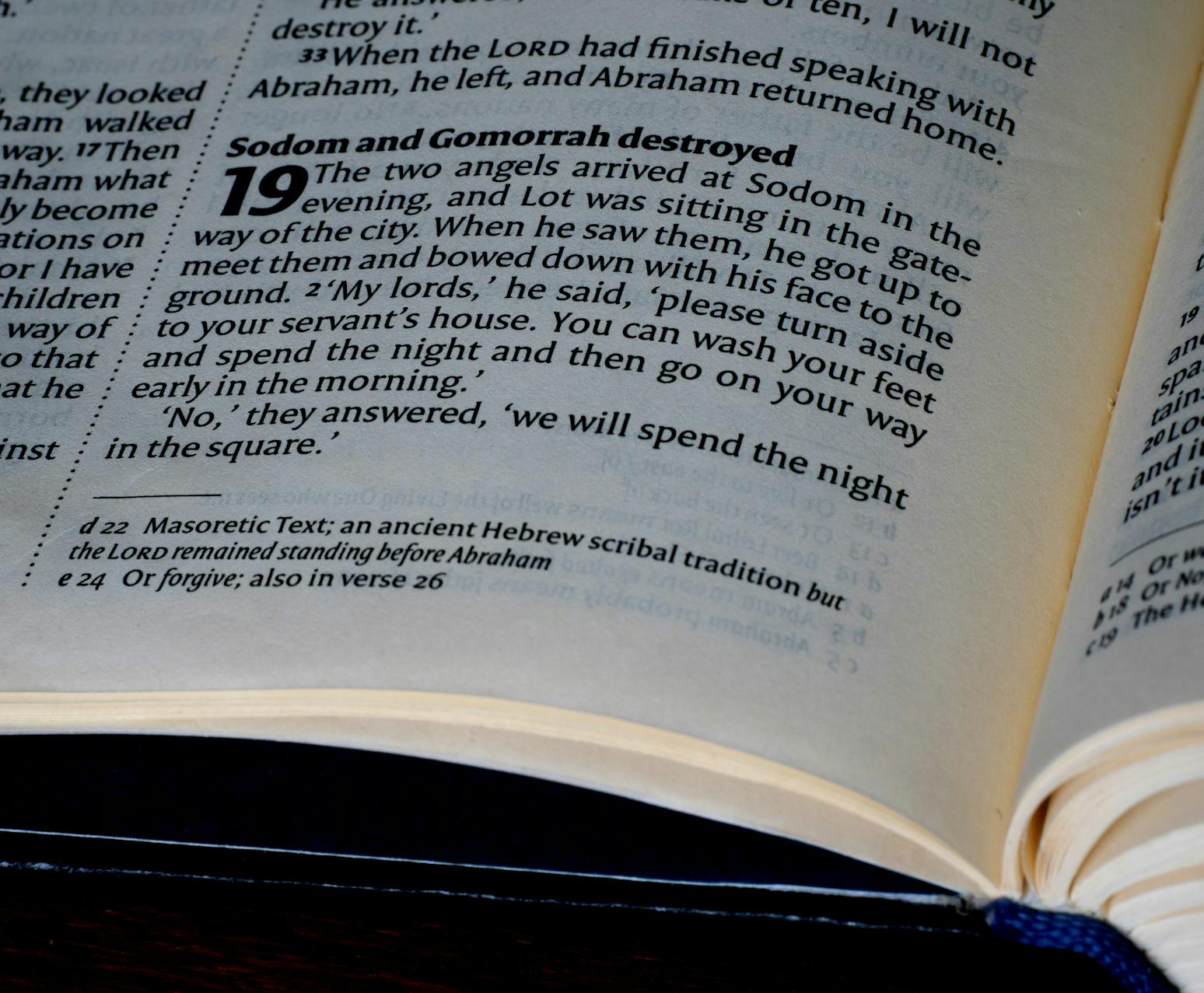 pexels-photo-33866275